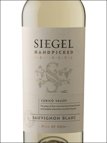 фото Siegel Handpicked Reserva Sauvignon Blanc Сигель Хэндпикт Резерва Совиньон Блан Чили вино белое