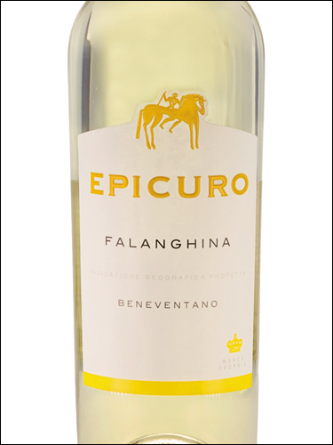 фото Epicuro Falanghina Beneventano IGP Эпикуро Фалангина Беневентано Италия вино белое