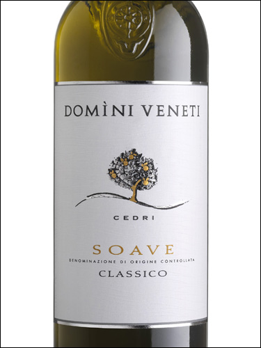 фото Domini Veneti Soave Classico DOC Домини Венети Соаве Классико Италия вино белое