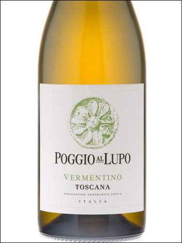 фото Poggio al Lupo Vermentino Toscana IGT Поджо аль Лупо Верментино Тоскана Италия вино белое