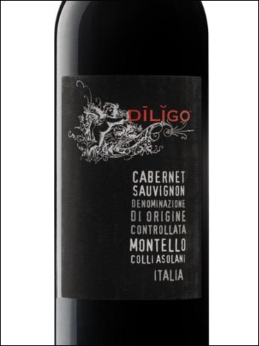 фото Diligo Cabernet Sauvignon Montello - Colli Asolani DOC Дилиго Каберне Совиньон Монтелло - Колли Азолани Италия вино красное