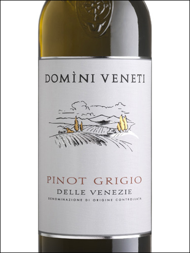 фото Domini Veneti Pinot Grigio Delle Venezie DOC Домини Венети Пино Гриджио делле Венецие Италия вино белое