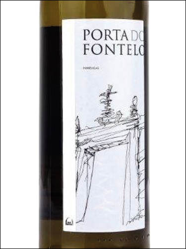 фото Udaca Porta do Fontelo Branco Portugal Удака Порта ду Фонтелу Бранку Португалия вино белое