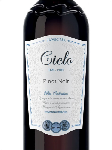 фото Cielo Pinot Noir Чело Пино Нуар Италия вино красное