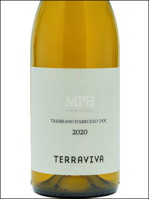 фото Tenuta Terraviva MPH Amphora Trebbiano d’Abruzzo DOC Тенута Терравива Амфора Треббьяно д’Абруццо Италия вино белое