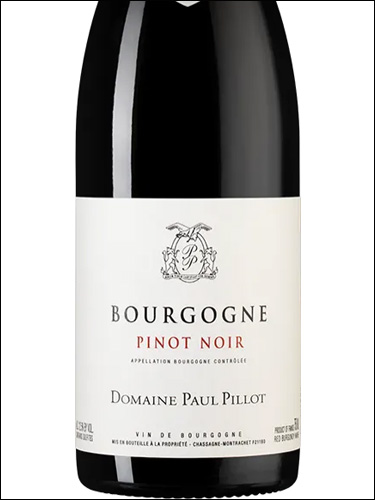 фото Domaine Paul Pillot Bourgogne Pinot Noir AOC Домен Поль Пийо Бургонь Пино Нуар Франция вино красное