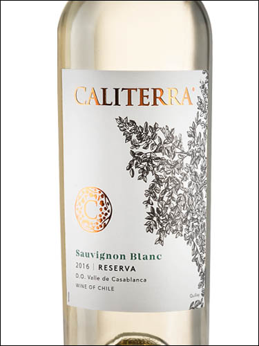 фото Caliterra Sauvignon Blanc Reserva Valle de Casablanca DO Калитерра Совиньон Блан Ресерва Долина Касабланка Чили вино белое