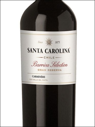 фото Santa Carolina Barrica Selection Carmenere Valle del Rapel DO Санта Каролина Карменер Долина Рапель Чили вино красное
