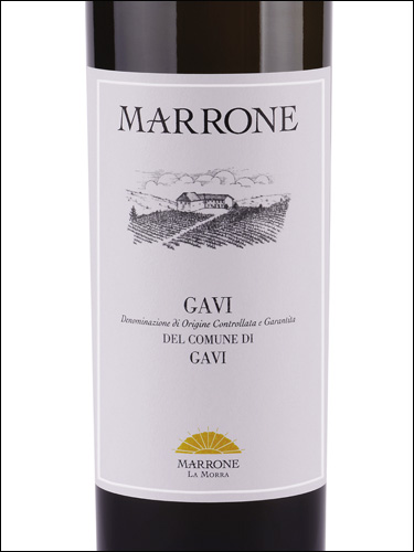 фото Marrone Gavi del Comune di Gavi DOCG Марроне Гави дель Комуне Гави Италия вино белое