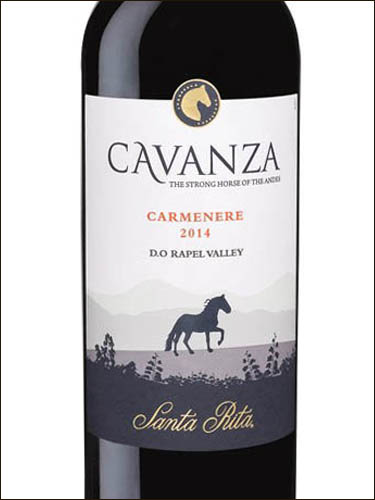 фото Santa Rita Cavanza Carmenere Valle de Rapel DO Санта Рита Каванса Карменер Долина Рапель Чили вино красное