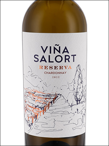 фото Familia Traversa Vina Salort Reserva Chardonnay Фамилия Траверса Винья Салорт Резерва Шардоне Уругвай вино белое