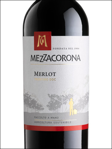 фото Mezzacorona Merlot Trentino DOC Меццакорона Мерло Трентино Италия вино красное