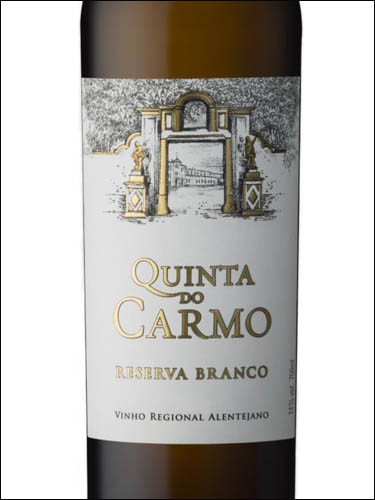 фото Quinta do Carmo  Reserva Branco  Vinho Regional Alentejano Кинта ду Карму Резерва Бранку ВР Алентежану Португалия вино белое