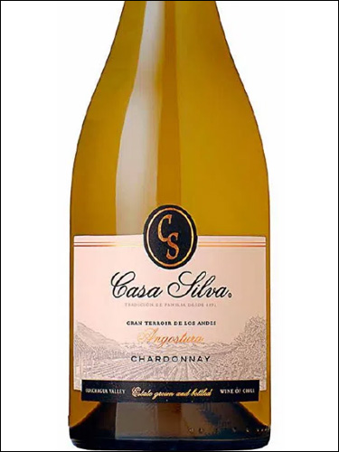 фото Casa Silva Gran Terroir de los Andes Chardonnay Каса Сильва Гран Терруар де Лос Андес Шардоне Чили вино белое