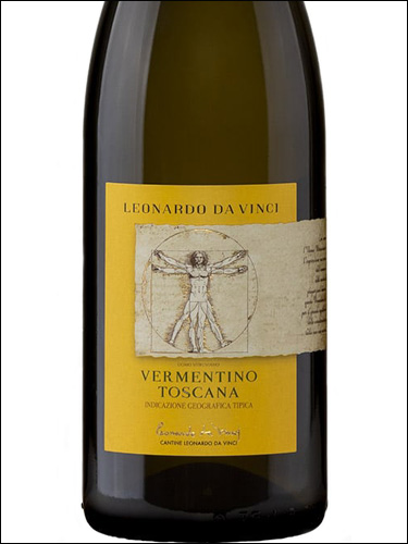 фото Leonardo da Vinci Vermentino Toscana IGT Леонардо да Винчи Верментино Тоскана Италия вино белое