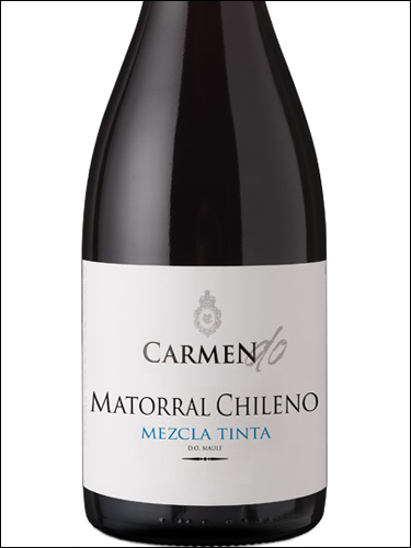 фото Carmen DO Matorral Chileno Mezcla Tinta Кармен ДО Маторраль Чилено Мескла Тинта Чили вино красное