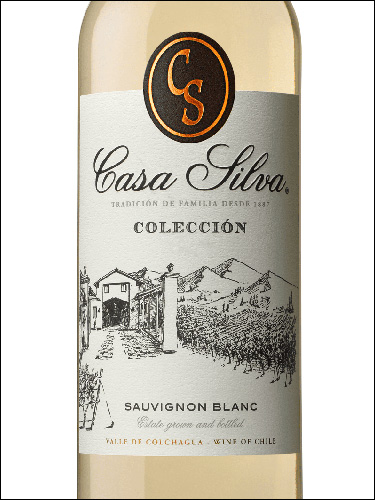 фото Casa Silva Coleccion Sauvignon Blanc Каса Сильва Колексьон Совиньон Блан Чили вино белое