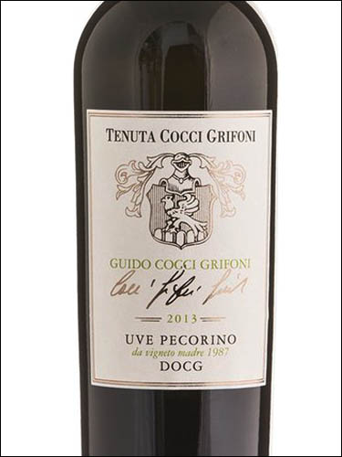 фото Guido Cocci Grifoni Offida Pecorino DOCG Гуидо Коччи Грифони Оффида Пекорино Италия вино белое
