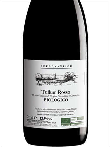 фото Feudo Antico Rosso Biologico Tullum DOCG Феудо Антико Россо Биолоджико Туллум Италия вино красное