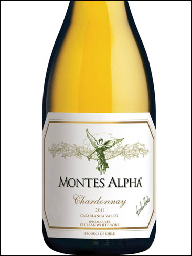 фото Montes Alpha Chardonnay Valle de Casablanca DO Монтес Альфа Шардоне Долина Касабланка Чили вино белое