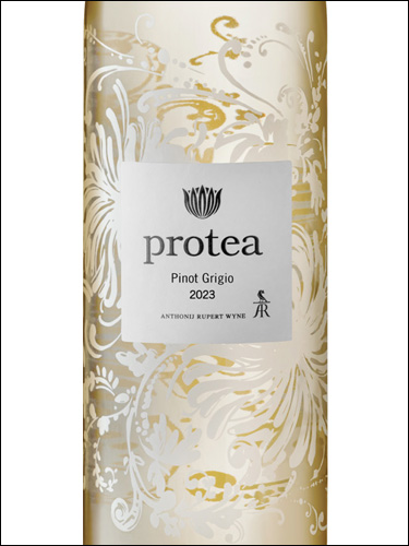 фото Protea Pinot Grigio Протея Пино Гриджио ЮАР вино белое