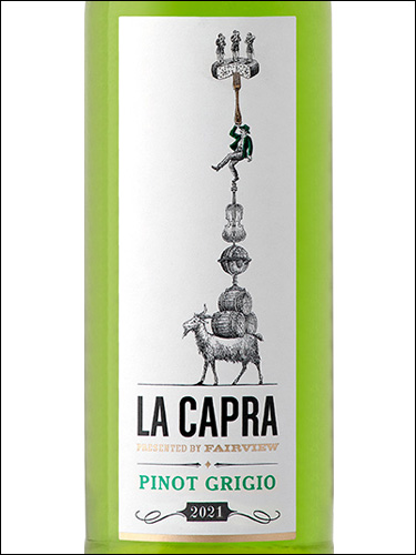 фото La Capra Pinot Grigio Ла Капра Пино Гриджио ЮАР вино белое