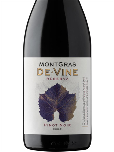 фото MontGras De Vine Reserva Pinot Noir Valle del Aconcagua МонтГрас Де Вине Резерва Пино Нуар Долина Аконкагуа Чили вино красное