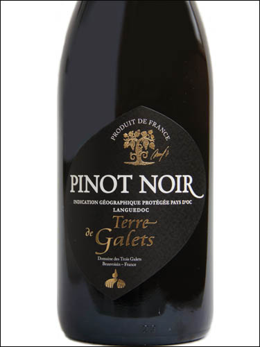 фото Terre de Galets Pinot Noir Pays d'Oc IGP Терре де Гале Пино Нуар Пэи д'Ок Франция вино красное