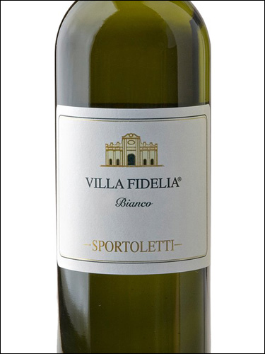фото Sportoletti Villa Fidelia Bianco Umbria IGP Спортолетти Вилла Фиделия Бьянко Умбрия Италия вино белое