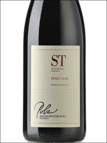 фото Polz Steinbach Pinot Noir Sudsteiermark Польц Штайнбах Пино Нуар Южная Штирия Австрия вино красное