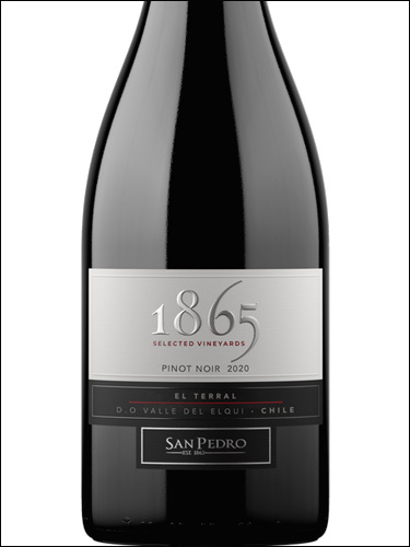 фото San Pedro 1865 Pinot Noir Valle del Elqui Сан Педро 1865 Пино Нуар Долина Эльки Чили вино красное