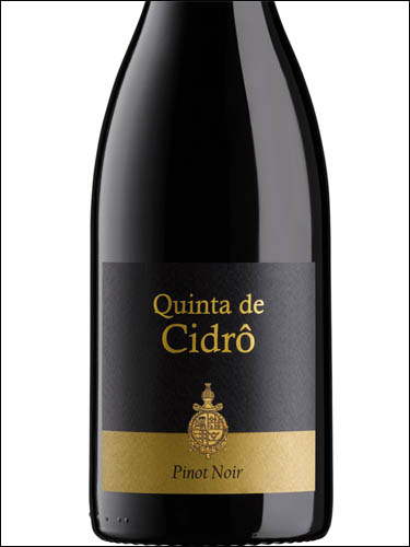 фото Quinta de Cidro Pinot Noir Vinho Regional Duriense Кинта де Сидро Пино Нуар ВР Дуриенсе Португалия вино красное