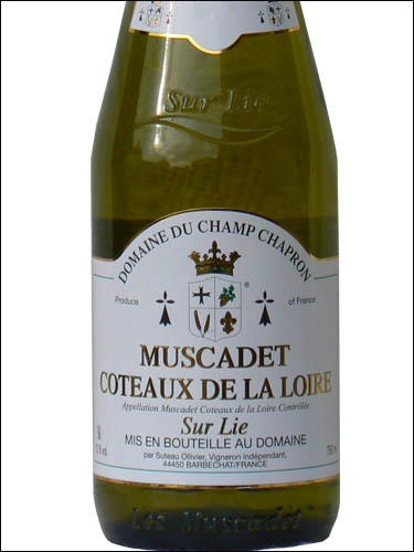 фото Domaine du Champ Chapron Muscadet Coteaux de la Loire sur Lie AOC Домен дю Шам Шапрон Мюскаде Кото де ла Луар сюр Ли Франция вино белое