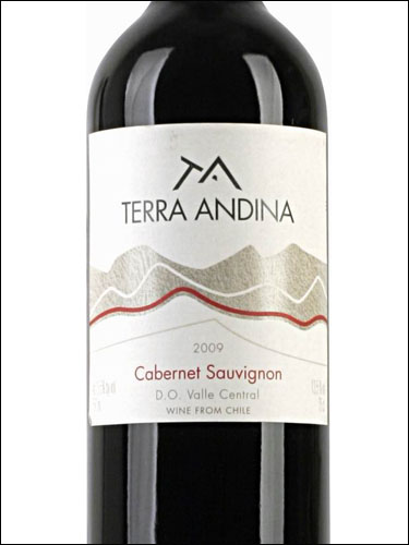 фото Terra Andina Cabernet Sauvignon Valle Central DO Терра Андина Каберне Совиньон Центральная Долина Чили вино красное