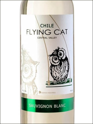 фото Flying Cat Sauvignon Blanc Central Valley DO Флаинг Кэт Совиньон Блан Чили вино белое