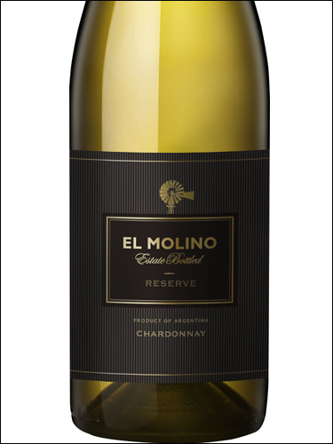 фото El Molino Chardonnay Reserve Эль Молино Шардоне Ресерве Аргентина вино белое