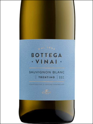 фото Bottega Vinai Sauvignon Blanc Trentino DOC Боттега Винай Совиньон Блан Трентино Италия вино белое