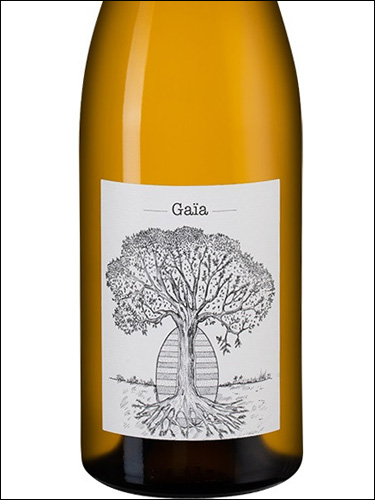 фото Domaine de Bellevue Gaia Muscadet AOC Домен де Бельвю Гайя Мюскаде Франция вино белое