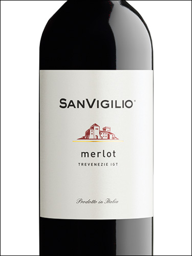 фото Sanvigilio Merlot Trevenezie IGT СанВиджилио Мерло Тревенецие Италия вино красное