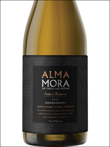 фото Finca Las Moras Alma Mora Select Reserve Chardonnay Финка Лас Морас Альма Мора Селект Резерв Шардоне Аргентина вино красное