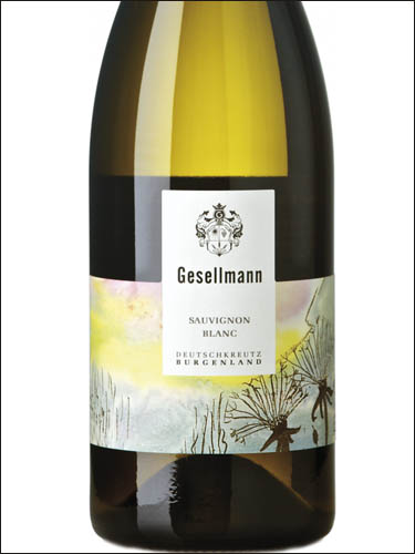 фото Gesellmann Sauvignon Blanc Burgenland Геселльманн Совиньон Блан Бургенланд Австрия вино белое