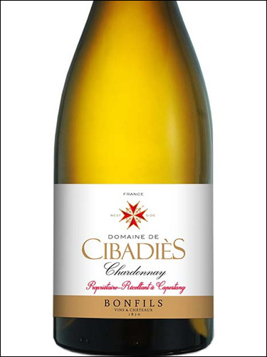 фото Domaine de Cibadies Chardonnay Pays D'Oc IGP Домен де Сибадье Шардоне Пэи д'Ок Франция вино белое