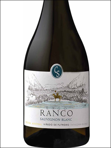 фото Casa Silva Lago Ranco Sauvignon Blanc Каса Сильва Лаго Ранко Совиньон Блан Чили вино белое