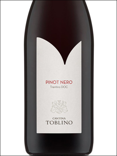 фото Cantina Toblino Pinot Nero Trentino DOC Кантина Тоблино Пино Неро Трентино Италия вино красное