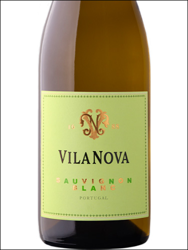 фото Vila Nova Sauvignon Blanc Vinho Regional Minho Вила Нова Совиньон Блан Минью Португалия вино белое