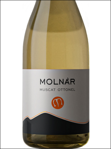 фото Molnar Muscat Ottonel Мольнар Мускат Оттонель Венгрия вино белое