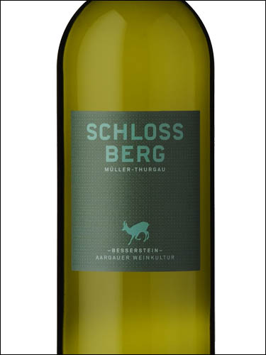 фото Besserstein Schlossberg Muller-Thurgau Aargau AOC Бессерштайн Шлоссберг Мюллер-Тургау Аргау Швейцария вино белое