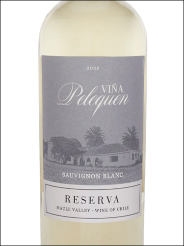 фото Vina Pelequen Reserva Sauvignon Blanc Maule Valley DO Винья Пелекен Ресерва Совиньон Блан Долина Мауле Чили вино белое