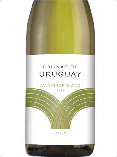 фото Colinas de Uruguay Sauvignon Blanc Колинас де Уругвай Совиньон Блан Уругвай вино белое