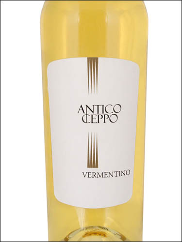 фото Antico Ceppo Vermentino Puglia IGT Антико Чеппо Верментино Апулия ИГТ Италия вино белое